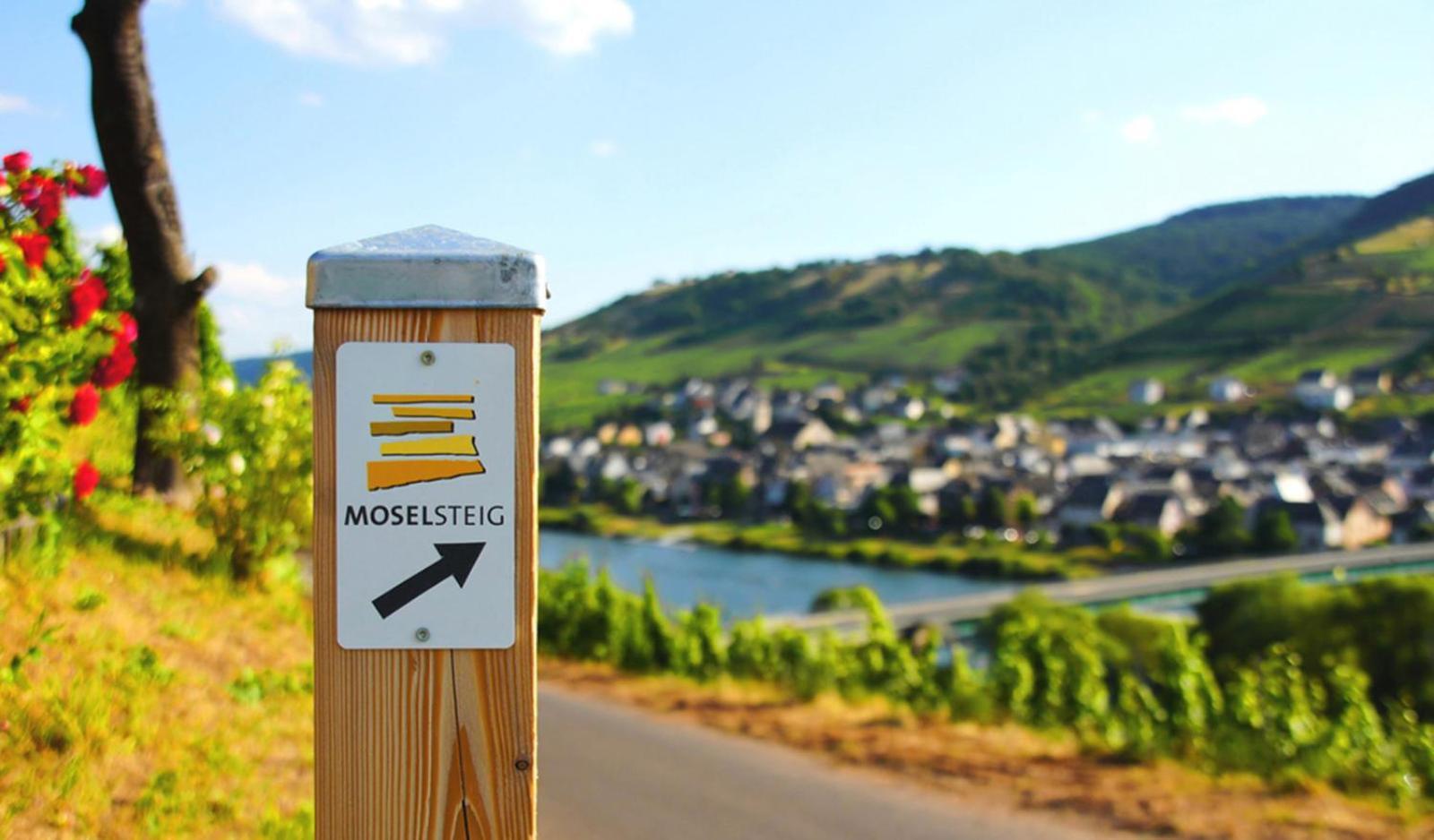 Gaestehaus Weingut Mathy-Schanz Osann-Monzel Zewnętrze zdjęcie