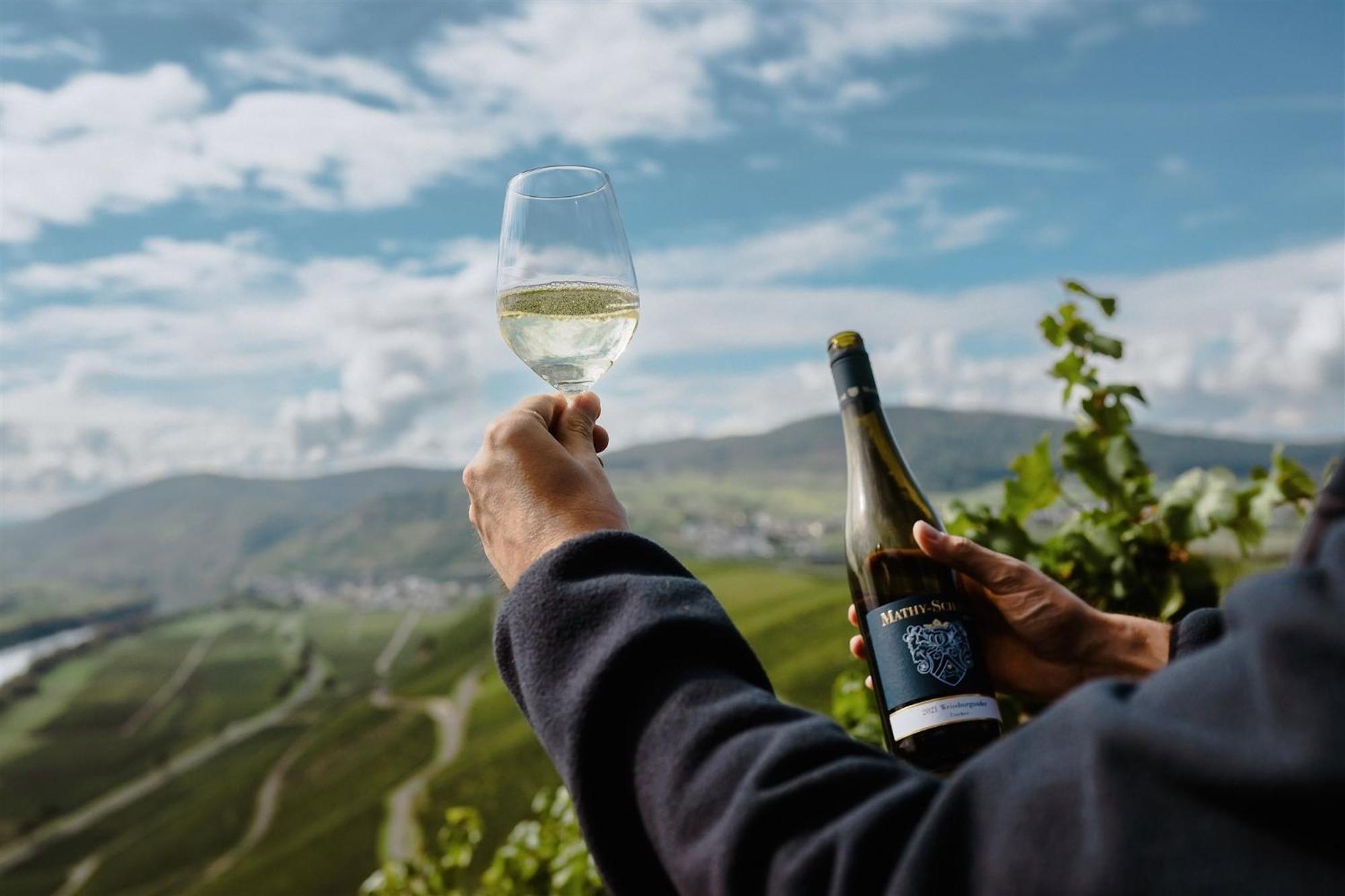 Gaestehaus Weingut Mathy-Schanz Osann-Monzel Zewnętrze zdjęcie