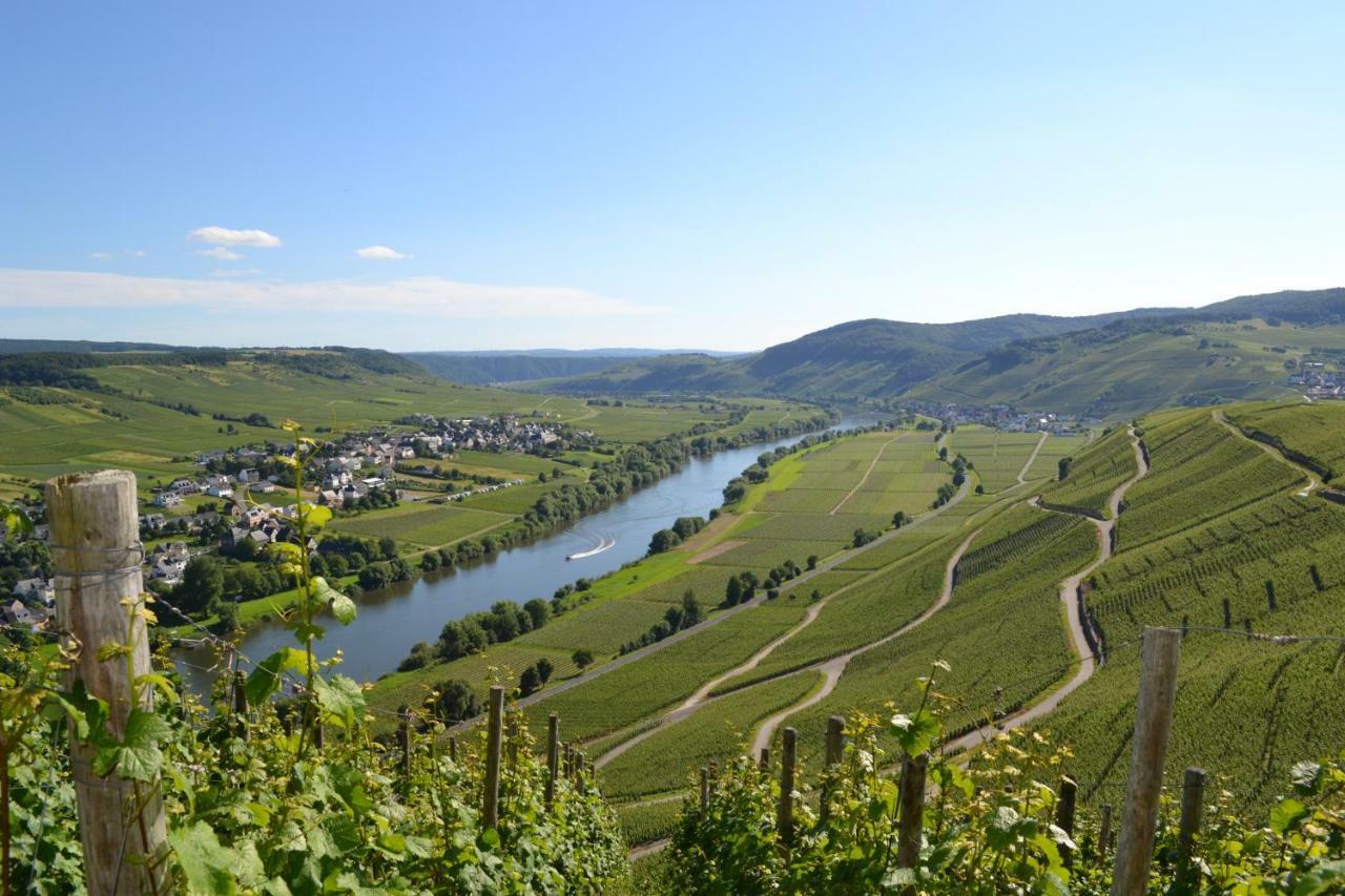 Gaestehaus Weingut Mathy-Schanz Osann-Monzel Zewnętrze zdjęcie