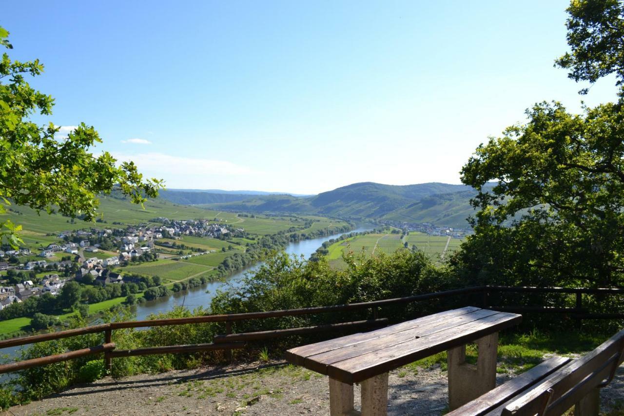 Gaestehaus Weingut Mathy-Schanz Osann-Monzel Zewnętrze zdjęcie
